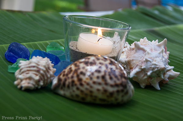 Votive-candle-and-shells