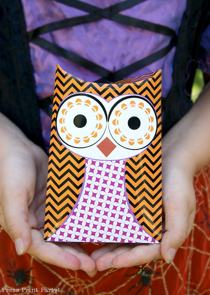 Free printable owl halloween treat boxes, favor bags, Orange, purple and green. Witch holding 2 owl pillow boxes by Press Print Party!