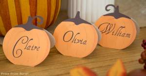 3 Rustic pumpkin Thanksgiving place cards - Press Print Party!