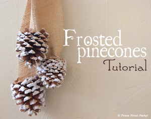 Frosted Pinecones Tutorial by Press Print Party