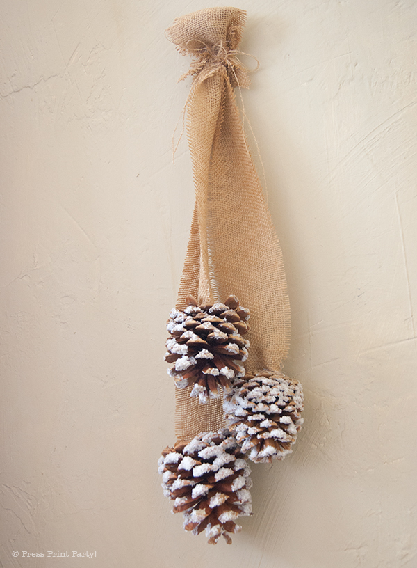 Frosted Pinecones Tutorial by Press Print Party