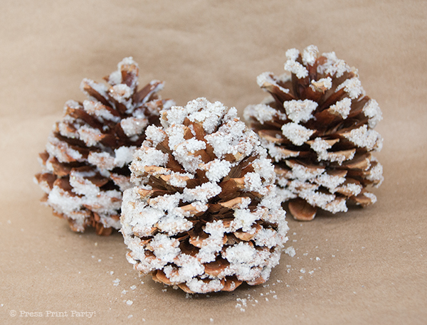 Easy Frosted Pinecones Tutorial for Christmas Decor - Press Print Party