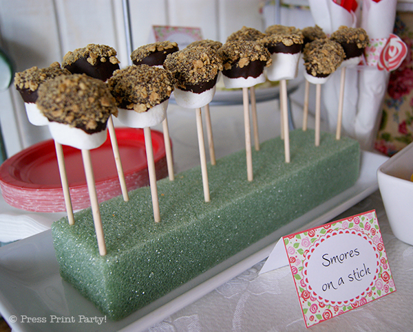 A Delightful Spring Tea Party - by Press Print Party. Smores on a Stick