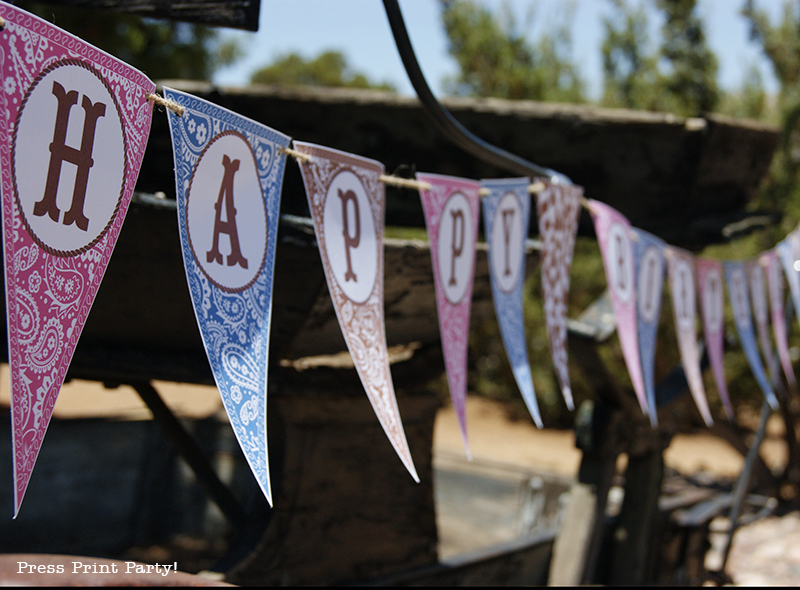 Country Cowgirl Western Party by Press Print Party!