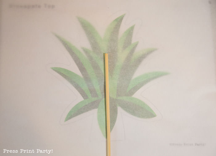 Party like a Pineapple -Pineapple party - Luau Party - Pineapple cake how to make the leaves- by Press Print Party!