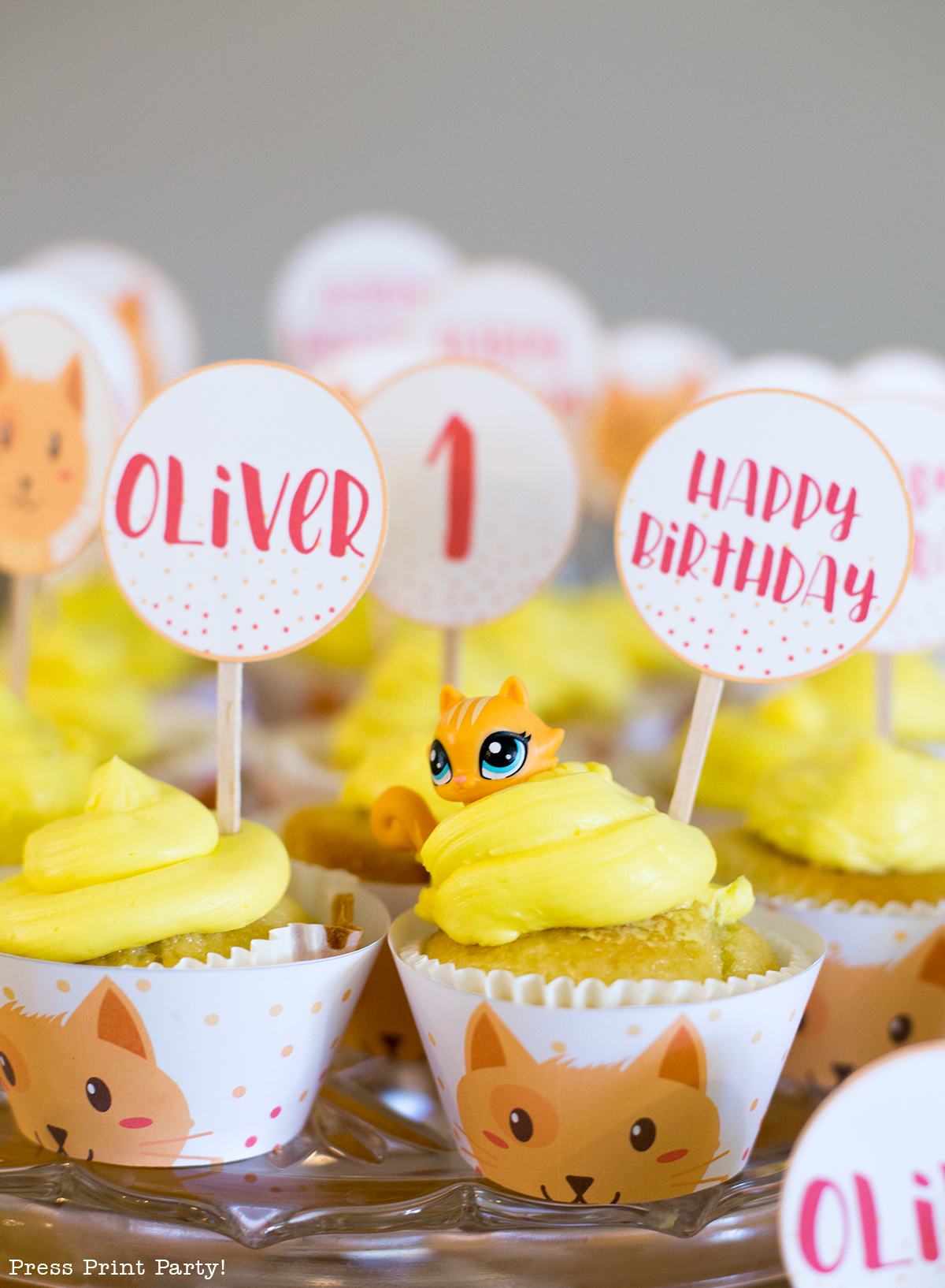 Tabby Cat Party Decorations and Printables, Kitty Party, Cat theme birthday party by Press Print Party! 