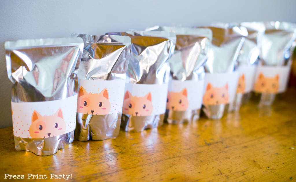 Oliver's Adorable Tabby Cat Party - by Press Print Party