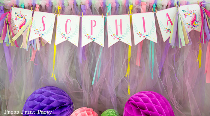 Truly Magical Unicorn Birthday  Party  Decorations  DIY 