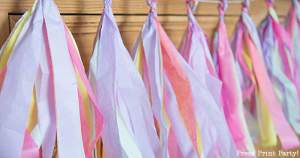 rainbow tissue paper garland - Press Print Party!