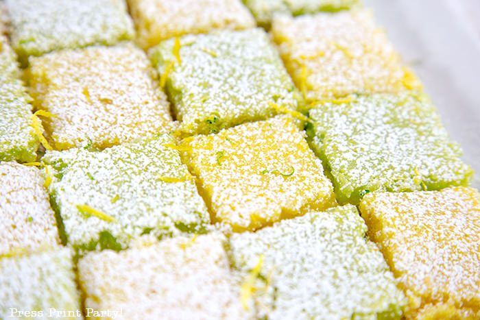 Lemon and Lime square bars close up