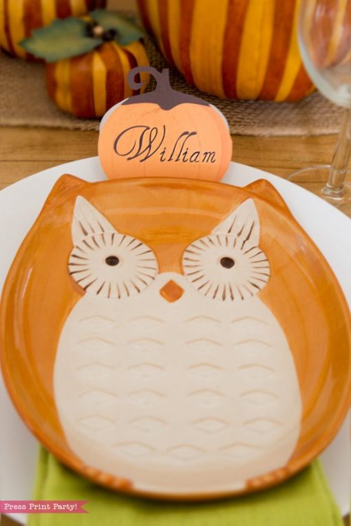 Rustic Thanksgiving place cards with owl plate - Press Print Party!