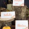 Thanksgiving place cards printable, thanksgiving table decor, pumpkin svg, instant download, pdf, Thanksgiving table setting ideas, tent card, food card, pumpkin decor, pumpkin printable, Farmhouse decor, white wood, rustic place cards. little pumpkin baby shower, Press Print Party!