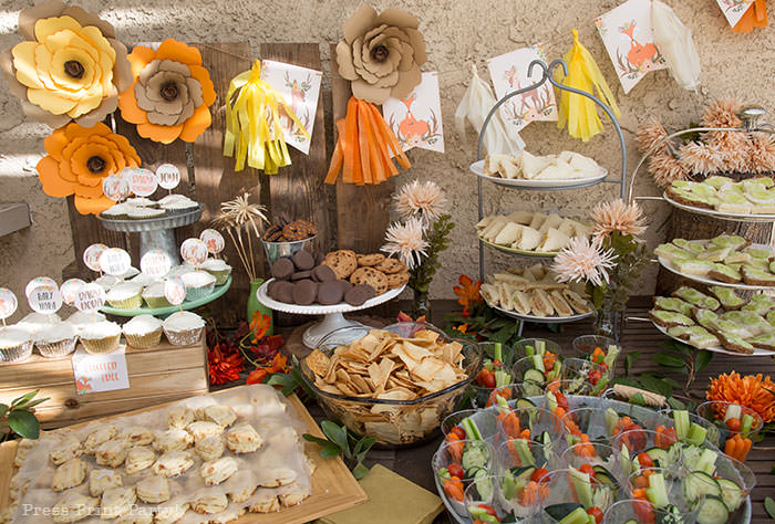 Woodland animals Baby Shower Theme with woodland creatures and forest animals party supplies. 