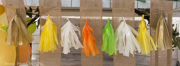 tissue paper tassels for woodland baby shower party ideas. 