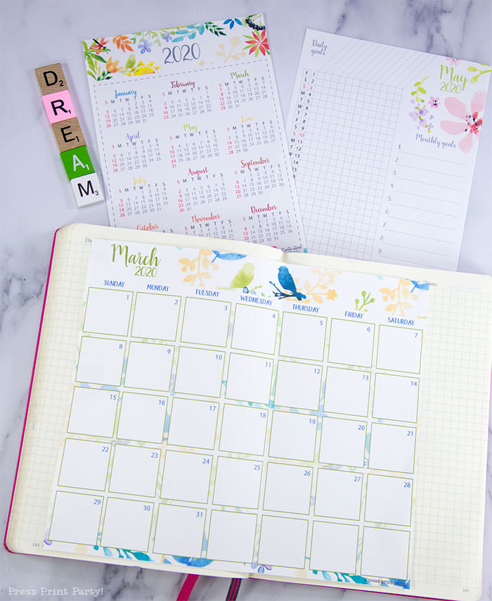 2020 printable calendar template, 2020 monthly calendar printable, one page calendar printable, print a calendar by month, 2020 year planner printable, sunday or monday start, for bullet journal calendar or for household binders, A5 planner, pdf, instant download, Daily trackers, daily routine, habit tracker, Bullet Journal Printable, Monthly Planner supply, bullet journal ideas, bujo ideas, bullet journal monthly layout for beginners, bujo supplies, monthly spread, Press Print Party! beautiful, watercolor design