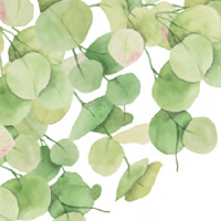 Eucalyptus Theme