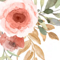 Peach Flowers Theme