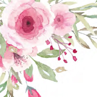 Pink Flowers Theme