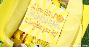 Sunshine box printables - Sunshine Gift Box, Cheer Up Care package, Sympathy Gift, Bad Day Gift, Get Well Package, Box of Sunshine, DIY Gift- Press Print Party!