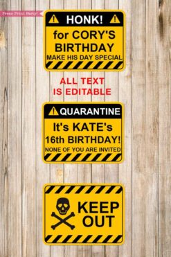 Quarantine Birthday Photo Booth Props and Signs, Editable Birthday Yard Sign, Drive-by birthday, For Car or Photos, Party Decor, INSTANT DOWNLOAD