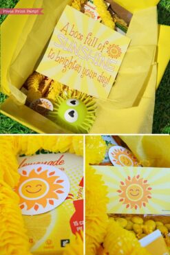 Sunshine box printables - Sunshine Gift Box, Cheer Up Care package, Sympathy Gift, Bad Day Gift, Get Well Package, Box of Sunshine, DIY Gift- Press Print Party!