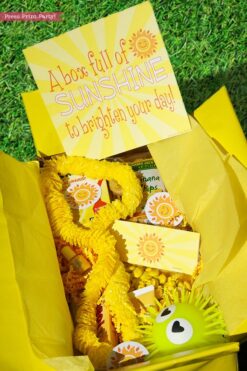 Sunshine box printables - Sunshine Gift Box, Cheer Up Care package, Sympathy Gift, Bad Day Gift, Get Well Package, Box of Sunshine, DIY Gift- Press Print Party!