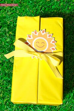 Sunshine box printables - Sunshine Gift Box, Cheer Up Care package, Sympathy Gift, Bad Day Gift, Get Well Package, Box of Sunshine, DIY Gift- Press Print Party!