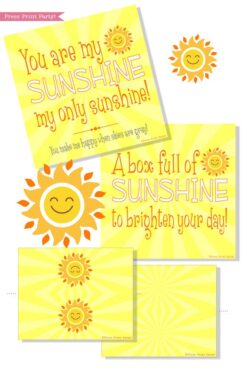 Sunshine box printables - Sunshine Gift Box, Cheer Up Care package, Sympathy Gift, Bad Day Gift, Get Well Package, Box of Sunshine, DIY Gift- Press Print Party!