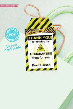 drive by birthday thank you tags editable for quarantine birthday party lime green instant download