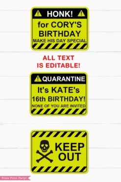 Lime Green Quarantine Birthday Photo Booth Props and Signs, Editable Birthday Yard Sign, Drive-by birthday, For Car or Photos, Party Decor, INSTANT DOWNLOAD