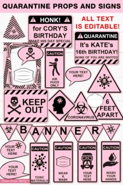 pink Quarantine Birthday Photo Booth Props and Signs, Editable Birthday Yard Sign, Drive-by birthday, For Car or Photos, Party Decor, INSTANT DOWNLOAD