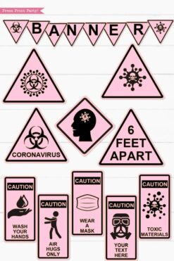 pink Quarantine Birthday Photo Booth Props and Signs, Editable Birthday Yard Sign, Drive-by birthday, For Car or Photos, Party Decor, INSTANT DOWNLOAD