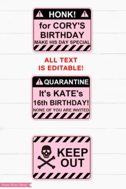 pink Quarantine Birthday Photo Booth Props and Signs, Editable Birthday Yard Sign, Drive-by birthday, For Car or Photos, Party Decor, INSTANT DOWNLOAD