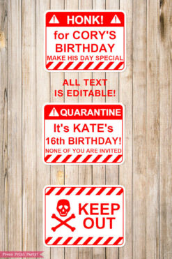 Red and white Quarantine Birthday Photo Booth Props and Signs, Editable Birthday Yard Sign, Drive-by birthday, For Car or Photos, Party Decor, INSTANT DOWNLOAD