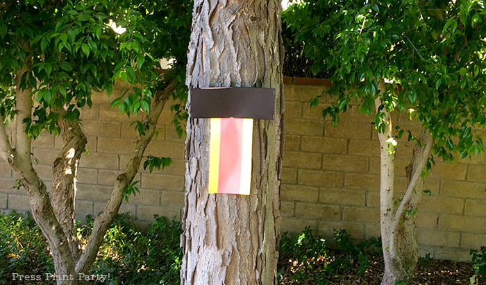 Amazing race clue box on tree press print party