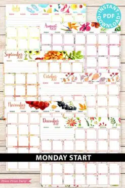 MONDAY Start 2021-2022 Monthly Calendar Printable, Monthly Planner Template, Colorful Watercolor Designs, Bullet Journal, INSTANT DOWNLOAD Press print Party