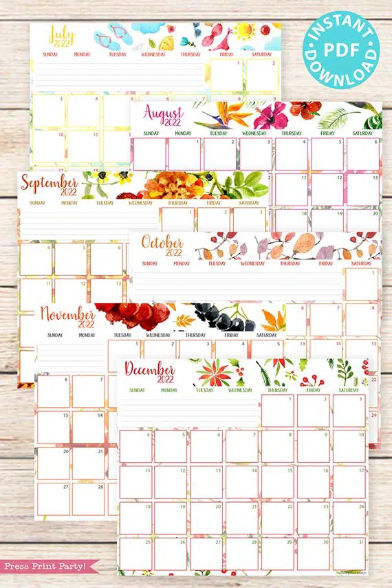 June bullet journal calendar month 2022 Photographic Print for