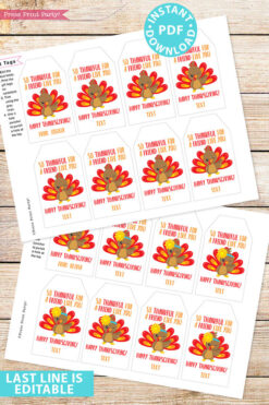 EDITABLE Thanksgiving Tags for Friends Printable Template, For Kids Boy or Girl Turkey, Edit last line, Gift Tags, INSTANT DOWNLOAD