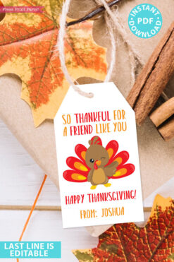 EDITABLE Thanksgiving Tags for Friends Printable Template, For Kids Boy or Girl Turkey, Edit last line, Gift Tags, INSTANT DOWNLOAD