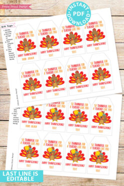 EDITABLE Thanksgiving Tags for Teacher Printable Template, For Kids Boy or Girl Turkey, Edit last line, Teacher Gift Tags, INSTANT DOWNLOAD