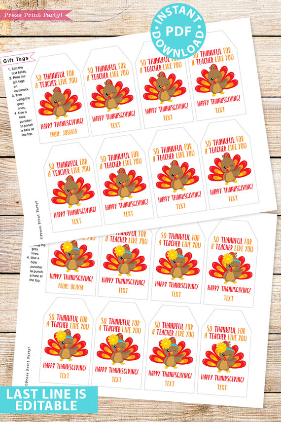 EDITABLE Thanksgiving Tags for Teacher Printable Template, For Kids Boy or Girl Turkey, Edit last line, Teacher Gift Tags, INSTANT DOWNLOAD