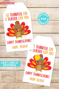 EDITABLE Thanksgiving Tags for Teacher Printable Template, For Kids Boy or Girl Turkey, Edit last line, Teacher Gift Tags, INSTANT DOWNLOAD