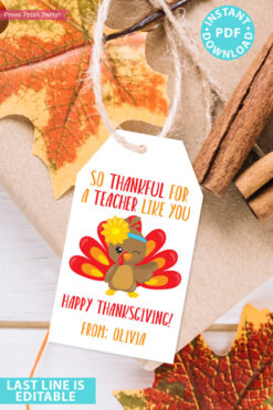 EDITABLE Thanksgiving Tags for Teacher Printable Template, For Kids Boy or Girl Turkey, Edit last line, Teacher Gift Tags, INSTANT DOWNLOAD