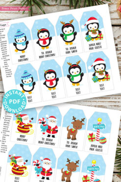 24 Kids Christmas Gift Tags Printable, Santa Claus, Snowman, Penguins, Woodland Animals, Beach Santa, Gnomes, Template, INSTANT DOWNLOAD