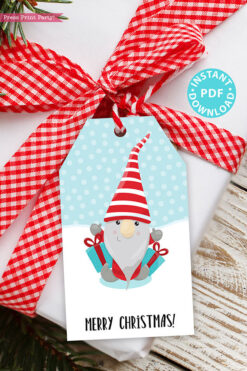 24 Kids Christmas Gift Tags Printable, Santa Claus, Snowman, Penguins, Woodland Animals, Beach Santa, Gnomes, Template, INSTANT DOWNLOAD