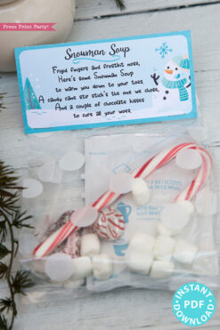 Snowman Soup Printable Treat Bag Topper Template, Editable w name, 2 poems included, Last Minute Stocking Stuffer idea, INSTANT DOWNLOAD