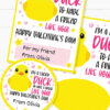 I'm a Lucky Duck to Have a Friend Like You Kids Valentine Card Printable, Pink, Gift Tag, School Classroom, Rubber Duck, INSTANT DOWNLOAD