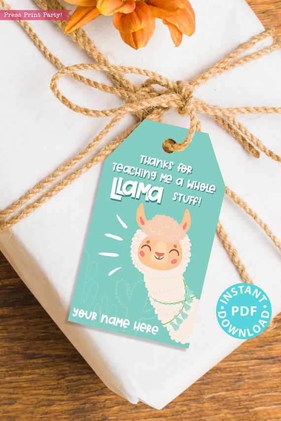 EDITABLE Teacher Appreciation Gift Tags Printable, Blue Thank You Tag: "Thanks for teaching me a whole llama stuff!" INSTANT DOWNLOAD blue tag