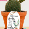 EDITABLE Teacher Appreciation Gift Tags Printable, Teacher Thank You Gift Tags, Cactus Pun, Needles to Say Great Teacher, INSTANT DOWNLOAD cactus gift
