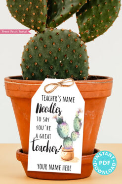 EDITABLE Teacher Appreciation Gift Tags Printable, Teacher Thank You Gift Tags, Cactus Pun, Needles to Say Great Teacher, INSTANT DOWNLOAD cactus gift